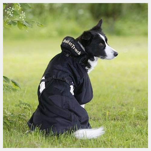 Back on track dog rug top
