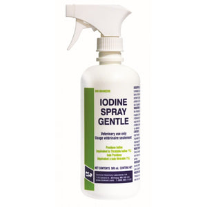 DVL Gentle Iodine Spray