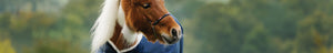 Pony Plus
