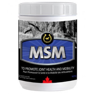 Golden Horseshoe MSM