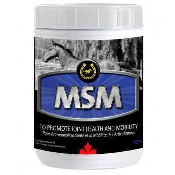 Golden Horseshoe MSM