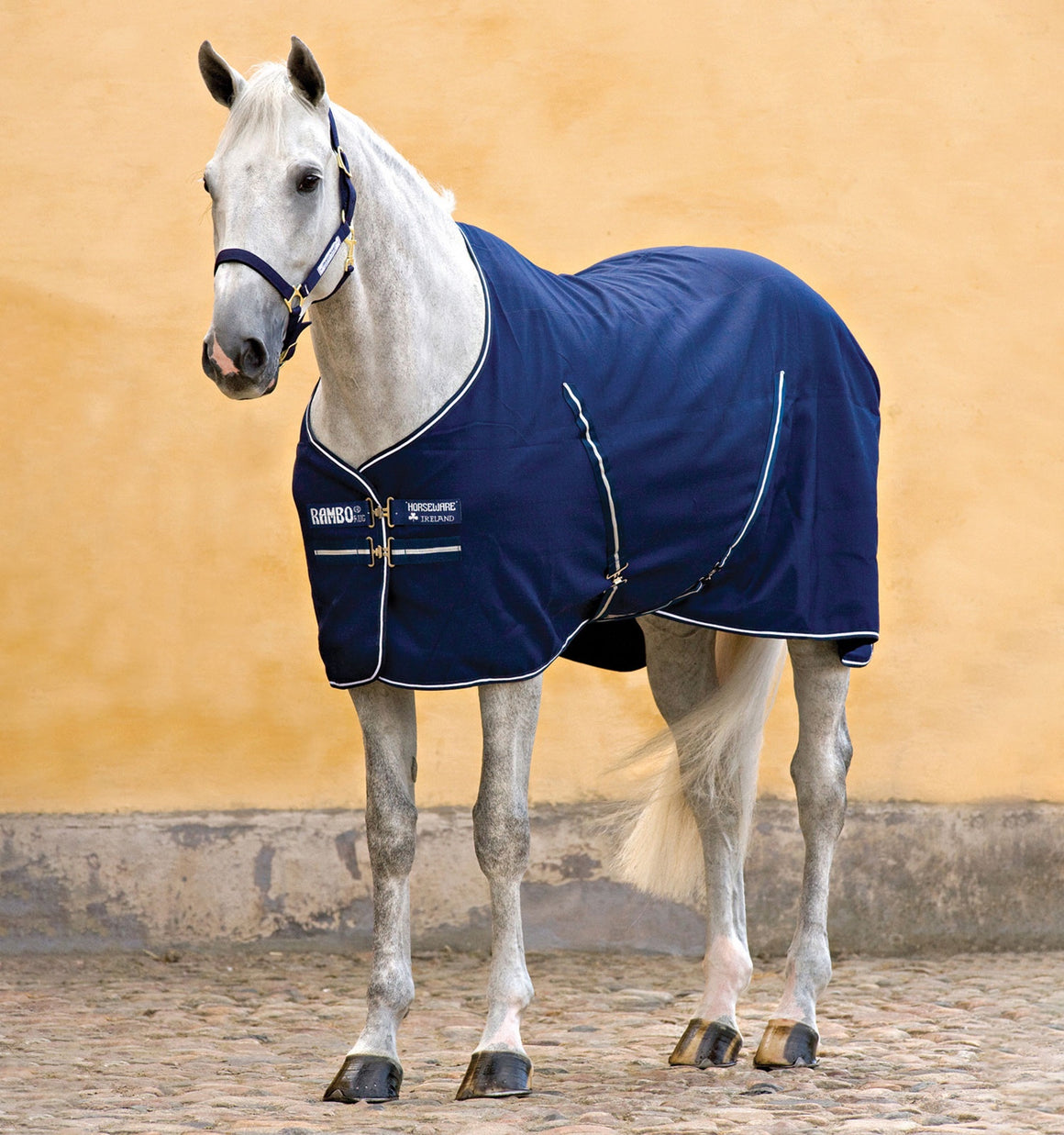 Rambo Stable Sheet