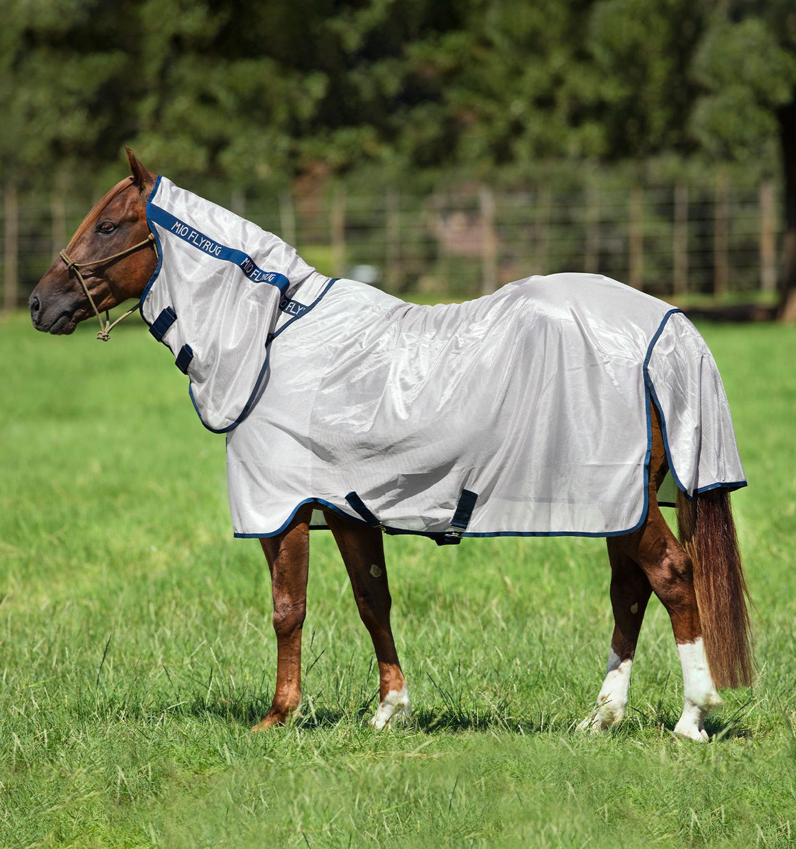 Horseware Mio Fly Rug