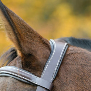 Shires Avignon Ocala Bridle
