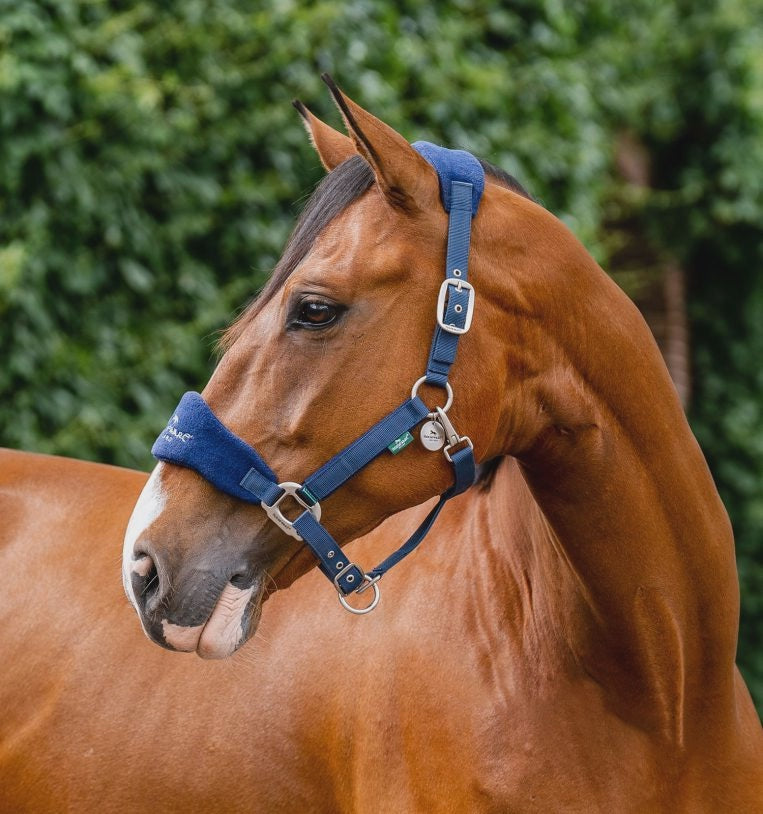 Horseware Signature Grooming Headcollar