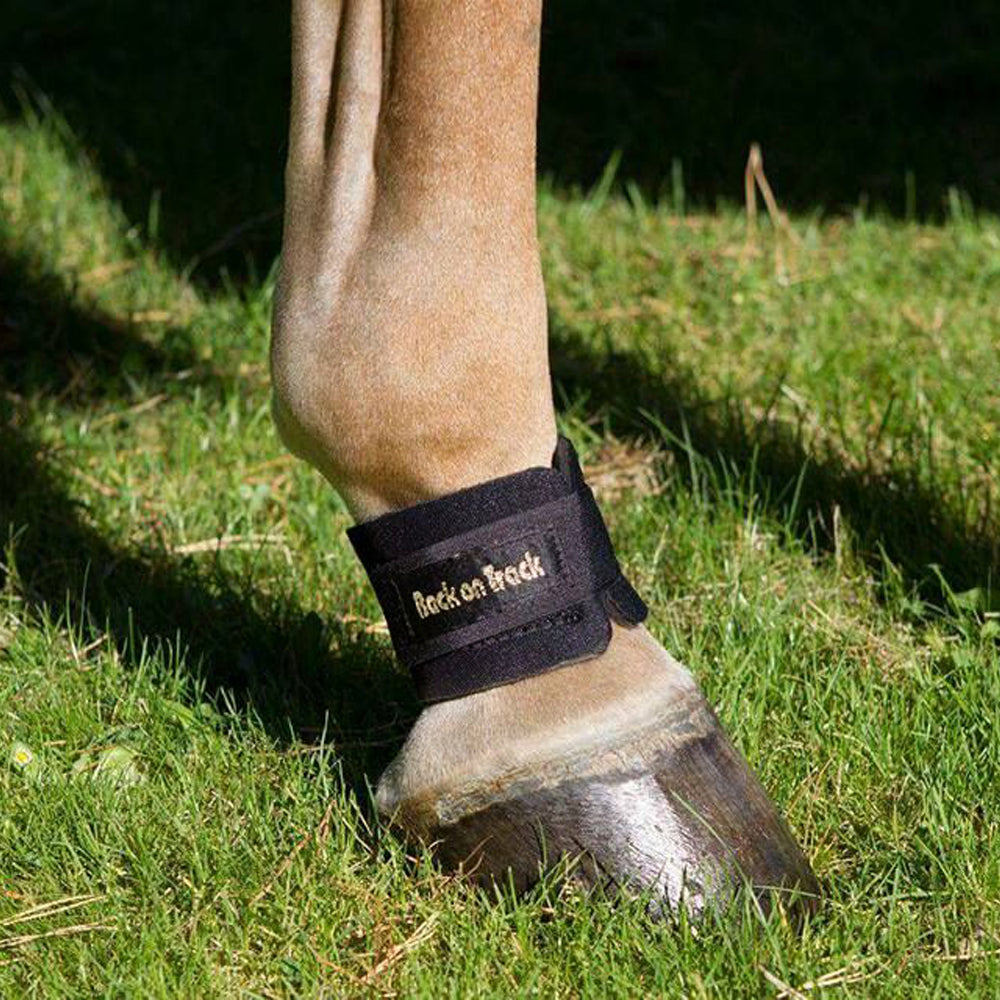 Back On Track Pastern Wrap - Summerside Tack and Equestrian Wear