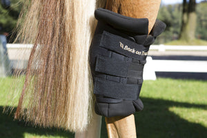 Back on Track Royal Padded Hock Boots
