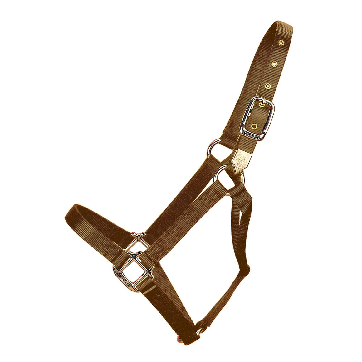 Hamilton Non-Adjustable 1" Halter
