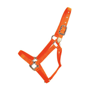 Hamilton Non-Adjustable 1" Halter