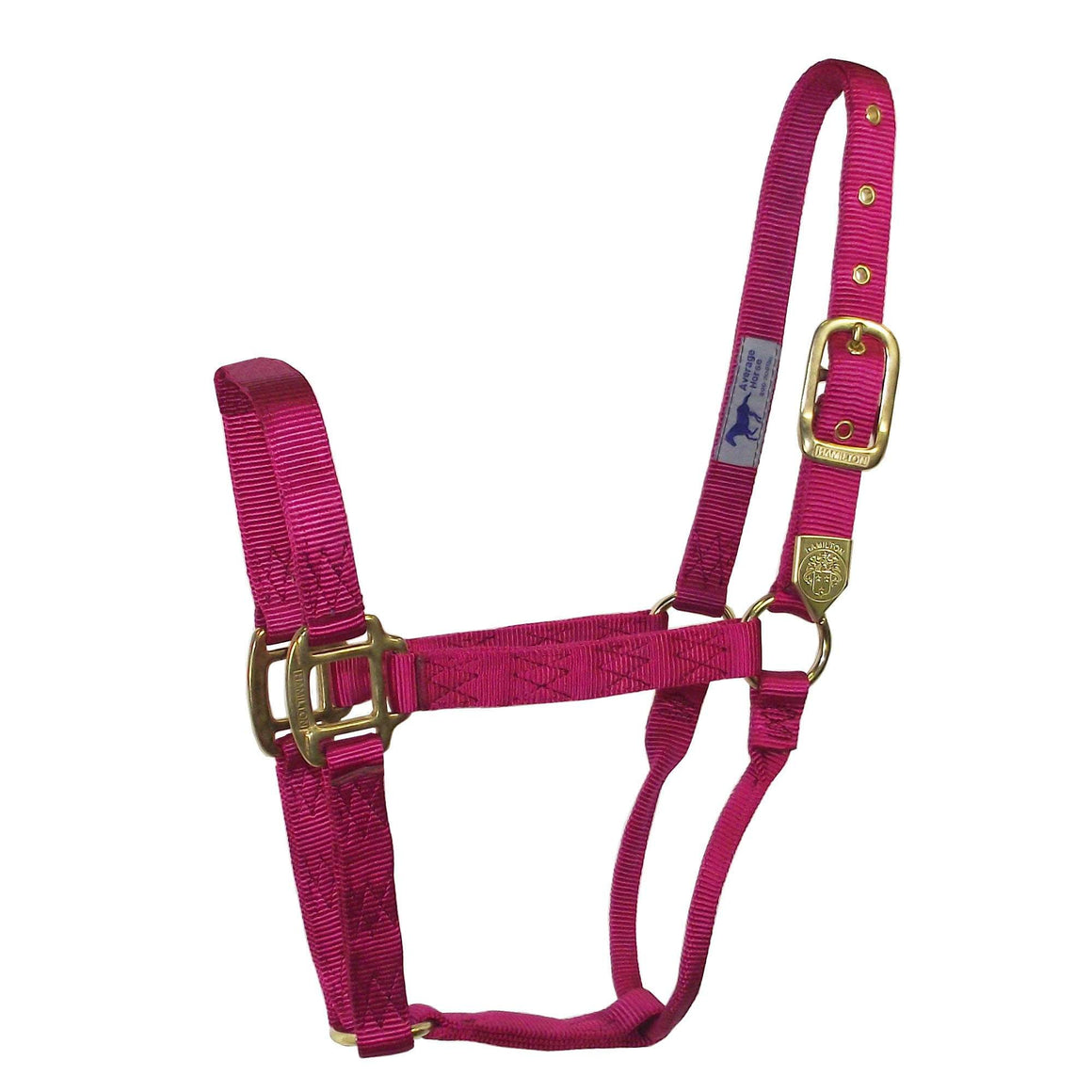 Hamilton Non-Adjustable 1" Halter