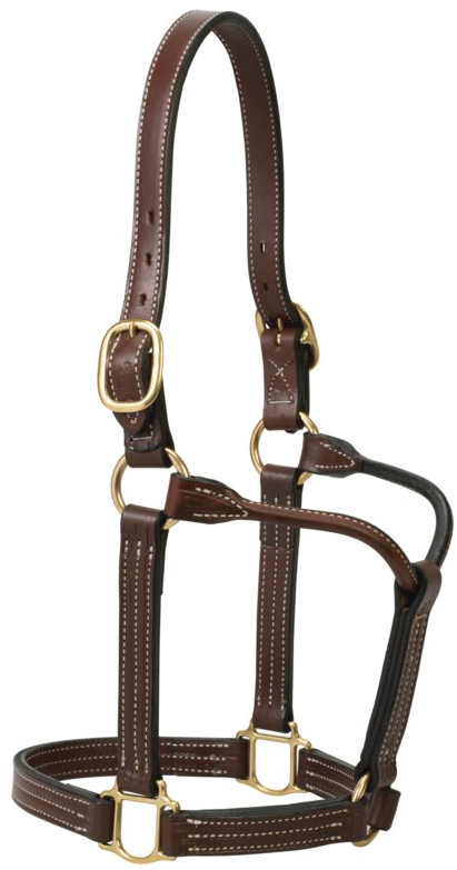 Showtime Leather Halter World-wide – C U at X Tack