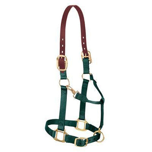 Weaver Breakaway Halter with Leather Crown