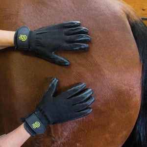 Hands On Grooming Gloves