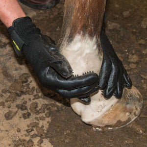Hands On Grooming Gloves