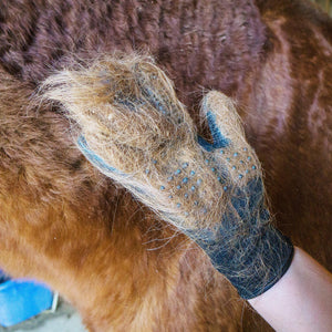 Hands On Grooming Gloves