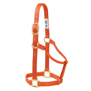 Weaver Non-Adjustable Nylon Halters