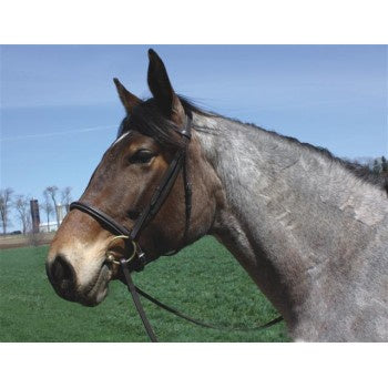 HDR Advantage Fancy Stitched Padded Draft Bridle