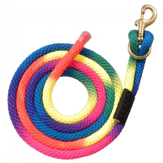 Rainbow Nylon Lead Rope