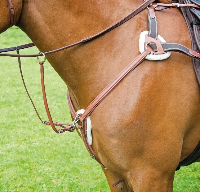 Shires Avignon 5 Point Breast Plate