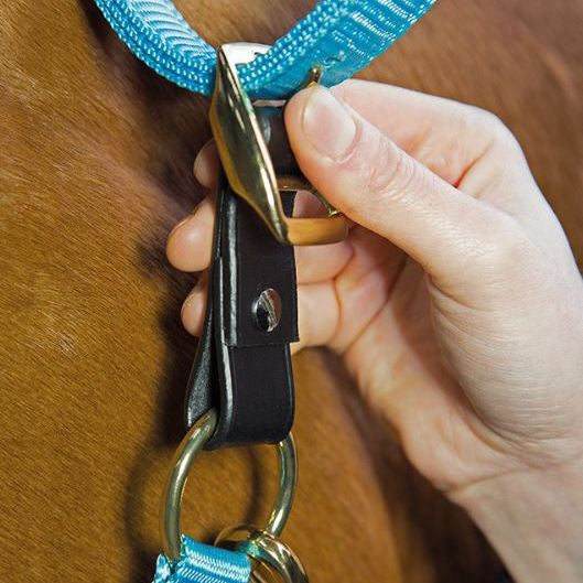 Shires Breakaway Replacement Strap