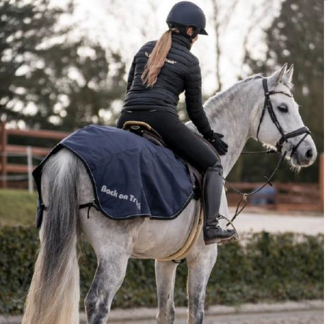 Back on Track Sammy Exercise Rug