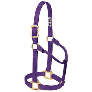 Weaver Non-Adjustable Nylon Halters