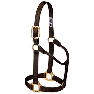 Weaver Non-Adjustable Nylon Halters