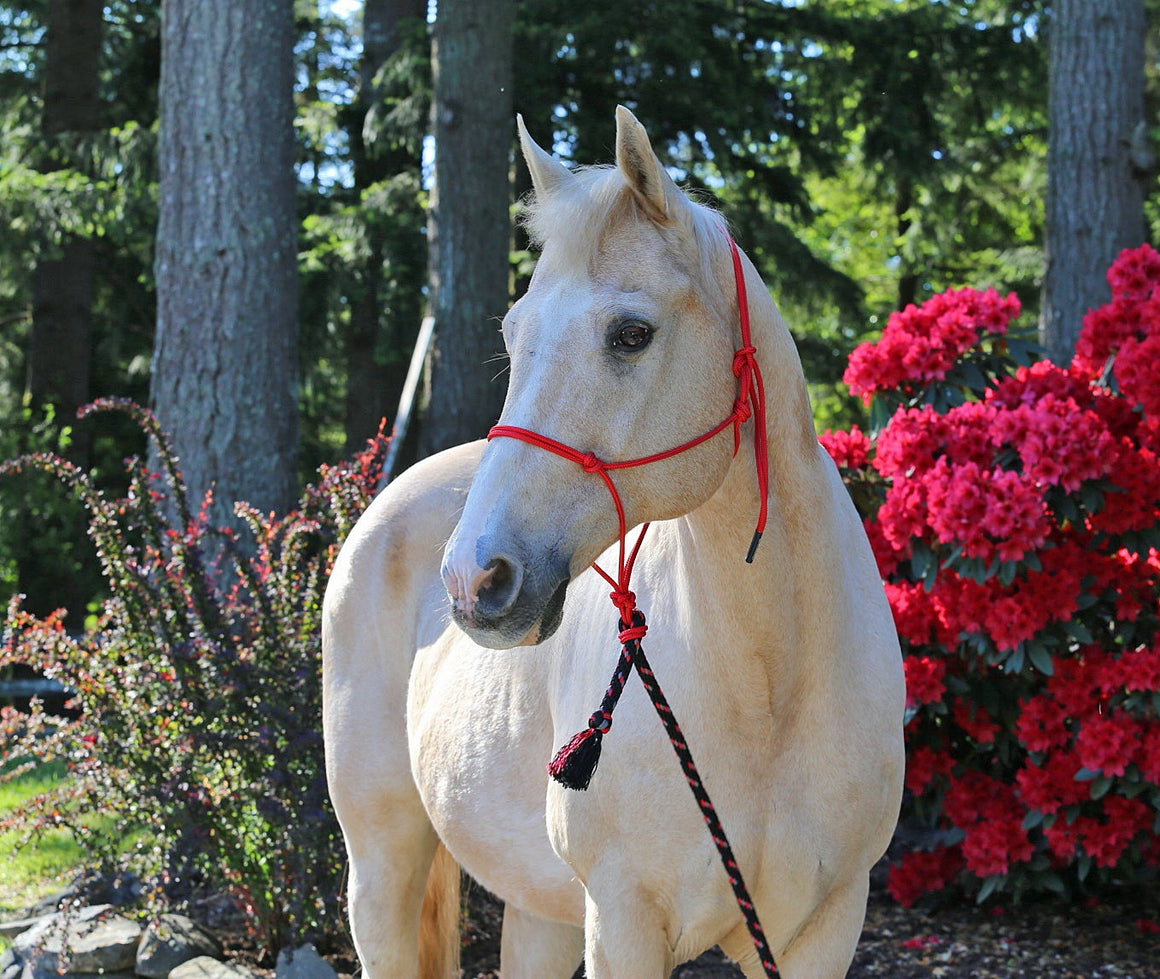 Burwash Natural Horse Rope Halter