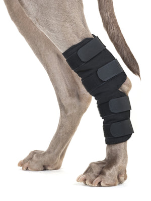 Back On Track Dog Hock Brace