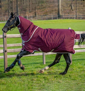 Horseware Amigo Hero Ripstop Plus 100g