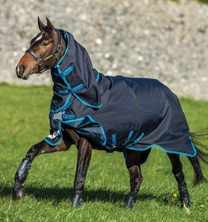 Horseware Amigo Bravo 12 Plus Bundle