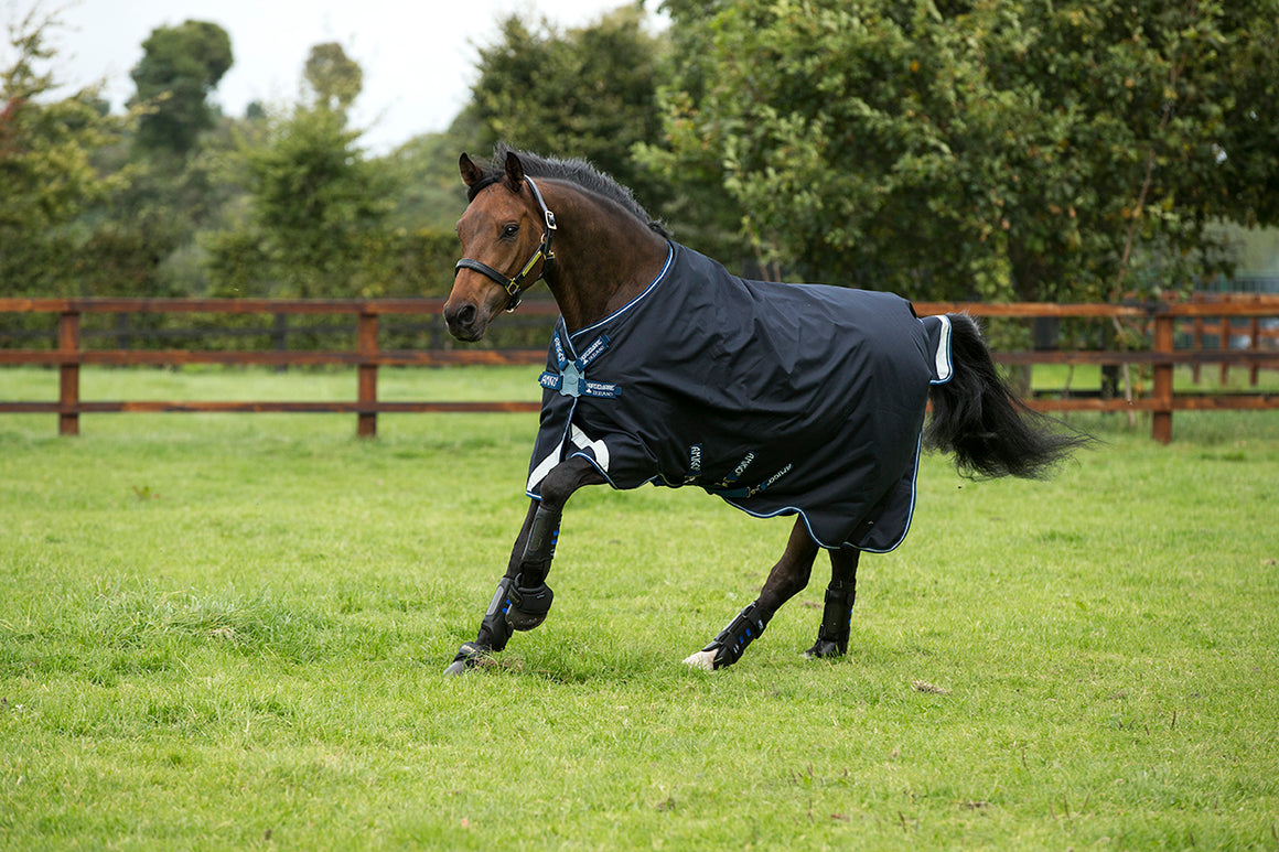 Horseware Amigo Bravo 12 Original with Disc Front 0g