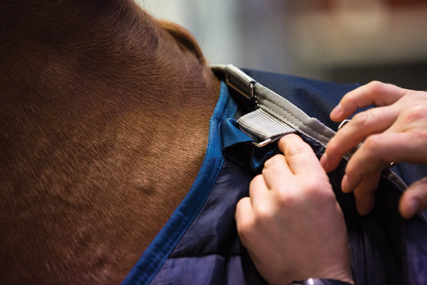 Horseware Liner 200g