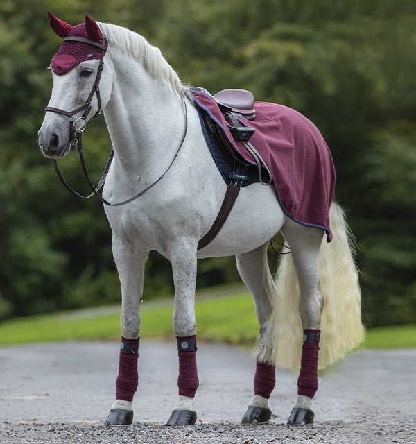 Horseware Rambo Comp Sheet