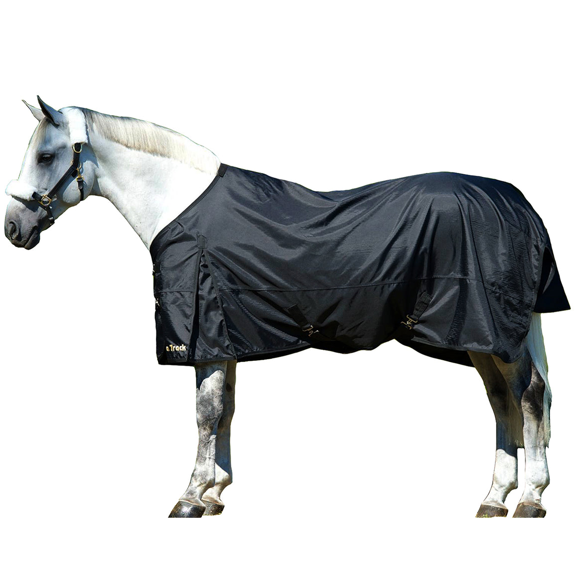 Back on Track Therapeutic Turnout Sheet