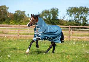 Horseware Amigo AmEco 12 Plus Turnout Blanket 100g