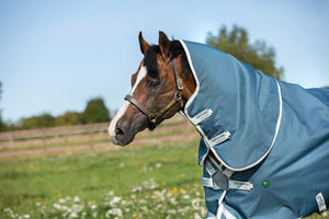 Horseware Amigo AmEco 12 Plus Turnout Blanket 100g