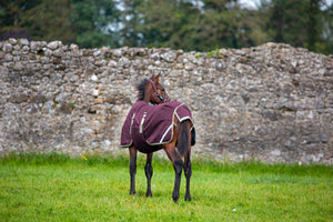 Horseware Amigo Foal Blanket Ripstop 200g