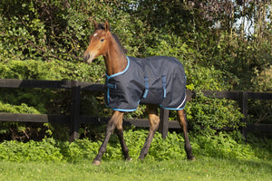 Horseware Amigo Foal Blanket Ripstop 200g