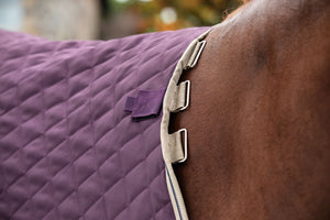 Horseware Amigo Plus Disc Front Stable Rug 200g