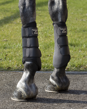 Back on Track Brush Boots 3D Mesh