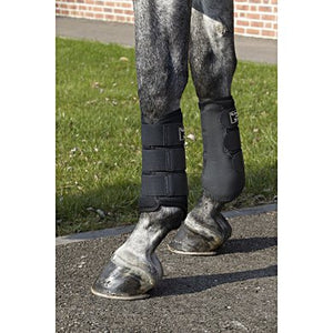 Back on Track Brush Boots 3D Mesh