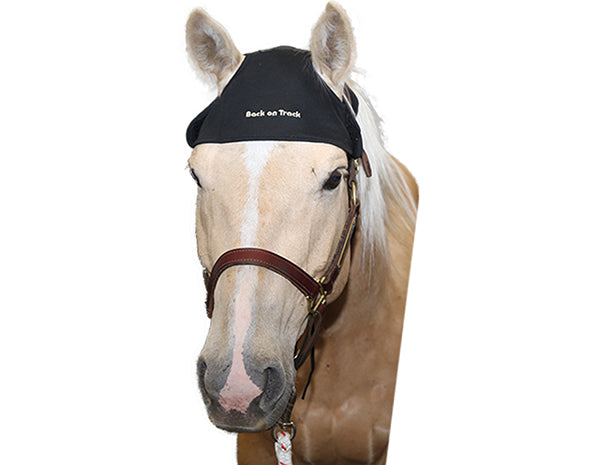 Back on Track Poll Cap