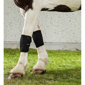 Back on Track Knee Boots