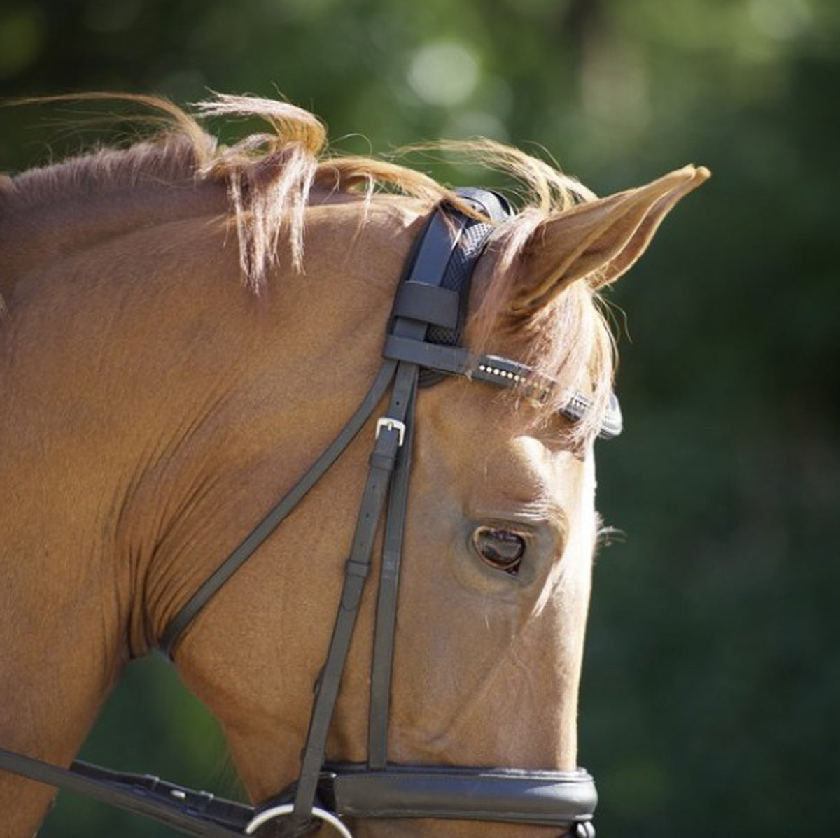 Back on Track Poll Cover with Velrco