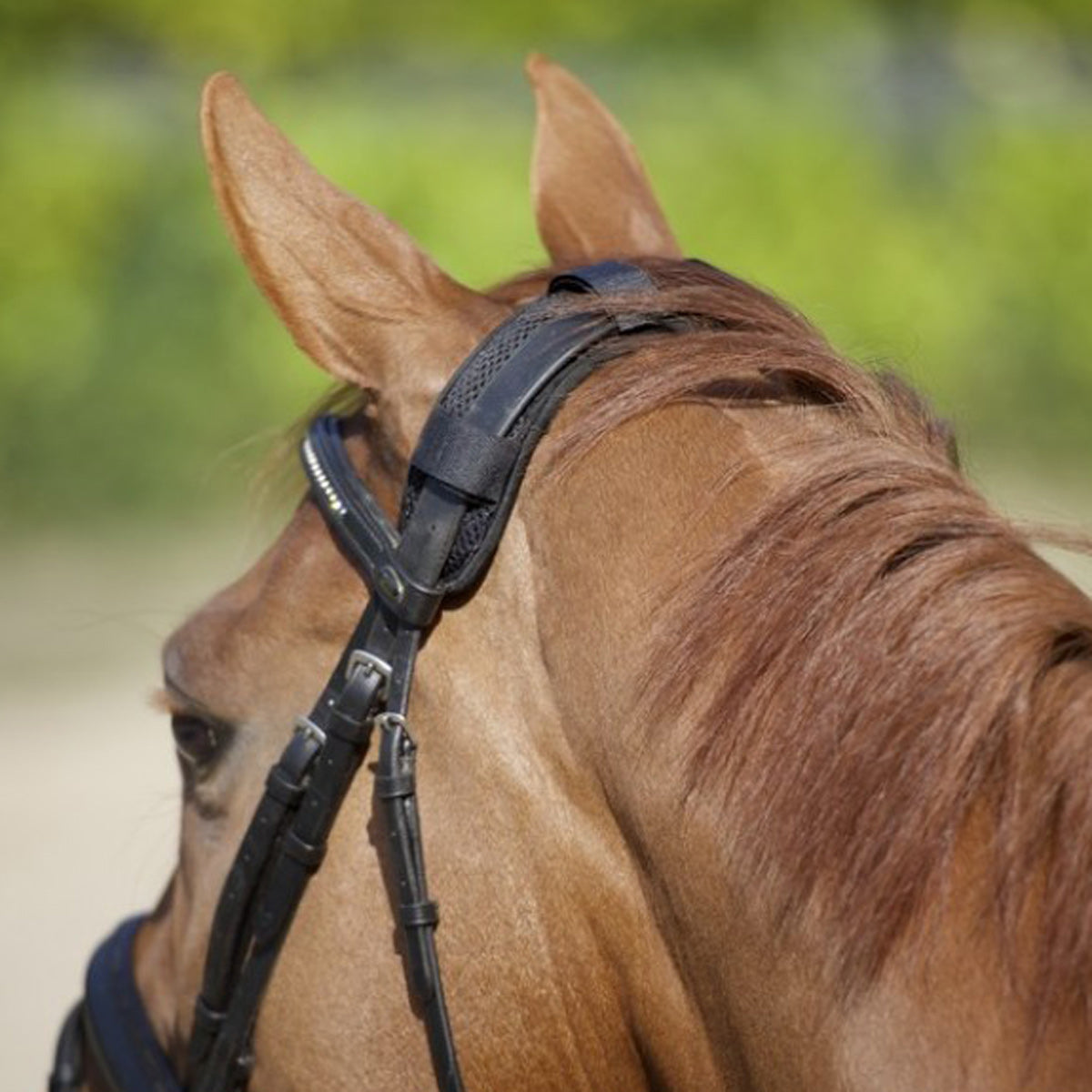 Back on Track Poll Cover with Velrco