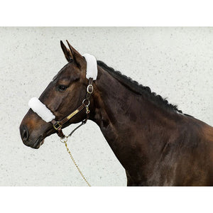 Back on Track Halter Covers