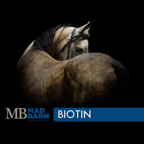 Mad Barn Biotin