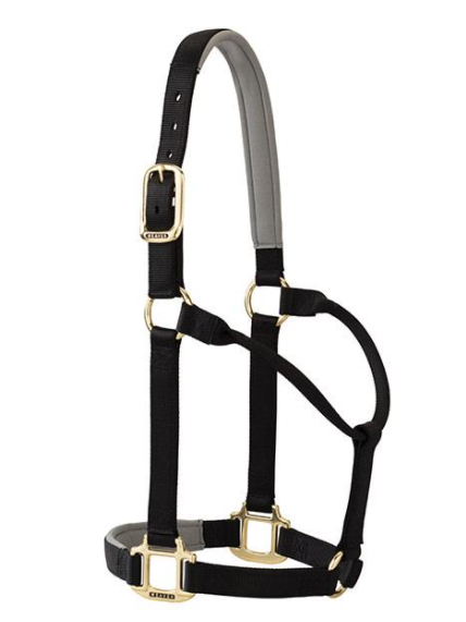 Weaver Padded Non-Adjustable Nylon Halter