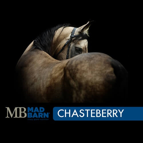 Mad Barn Chasteberry